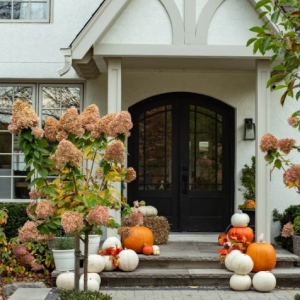 Classic Fall Collection