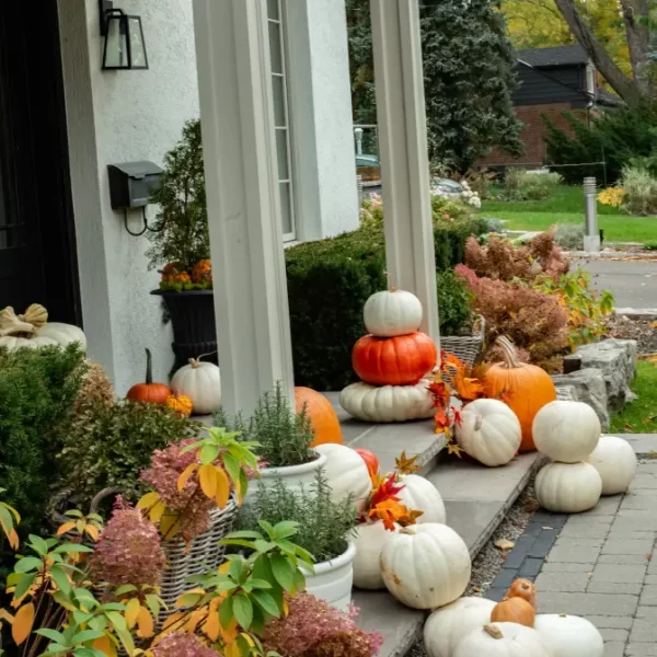 fall_collection_3