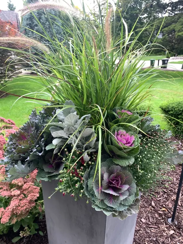 20-Inch Fall Planter